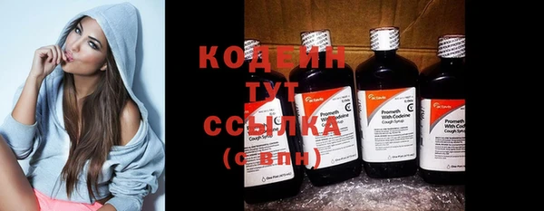 крисы Верхний Тагил