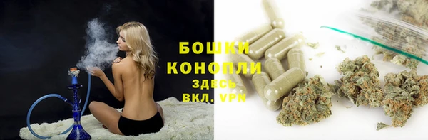 крисы Верхний Тагил