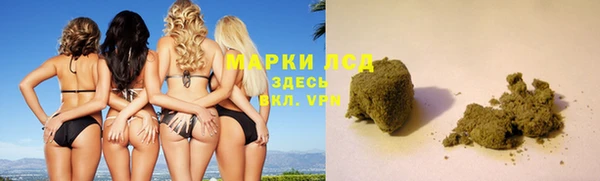 крисы Верхний Тагил