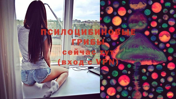 крисы Верхний Тагил